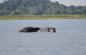 Private Guided Tours To Bahir Dar Lake Tana Monastery & Blue Nile Waterfalls 