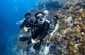 Advanced Adventurer - 2 days ( Advanced Open Water)