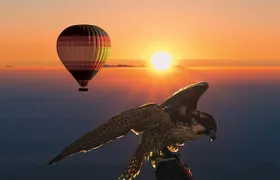 Amazing Hot Air Balloon With Beautiful Desert Sunrise View