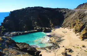 Waikiki Trolley Blue Line Coastline & Local Grindz Hop-on Hop-off