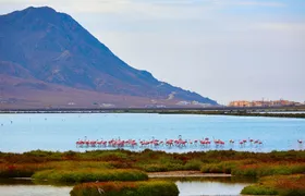 Cabo de Gata tour