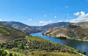 Private Douro Valley Tour (2 wineries + boat)