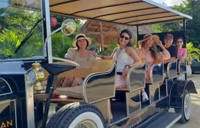 All-inclusive Cenotes tour