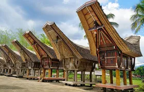4 Days Toraja Cultural Tour from Makassar: Tongkonan Houses to Toraja Funerals