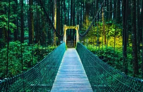 Alishan Join In Day Tour from Taichung (Incl. Park Entrance)