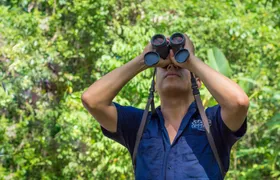Sloth Watching Tour