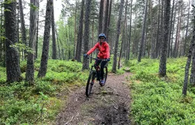 Mountain biking experience through the Voss forest