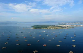 Full-day tour and boat trip to Rías Baixas from Santiago