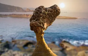 Full-Day Private Northern Taiwan Tour from Taipei with Pickup