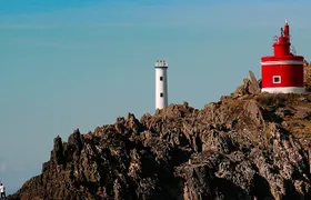 Discover the Beauty of Rías Baixas on a Private Full Day Tour