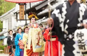 Chartered Private Tour - Tokyo to Nikko, Toshogu, Edo Wonderland