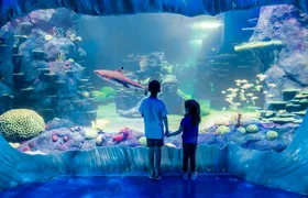Sea Life Sydney Aquarium Tickets