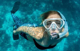 Snorkeling Adventure in La Jolla