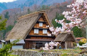 Shirakawago and Kanazawa guided day tour from Kanazawa