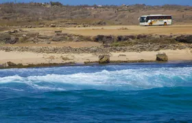Best of Aruba full-day tour by bus