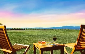 Epic Yarra Valley Wine Tour + Lunch, Chocolate & Gin/Beer Option