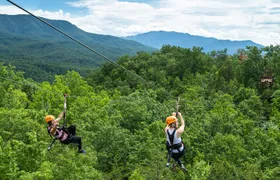 Mountaintop Zipline 2-Hours Activity