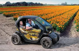 Lisse tulip fields self-drive tour for two people with audio guide