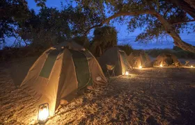 2 Nights 3 Days Chobe Safari ex Livingstone/ Victoria Falls