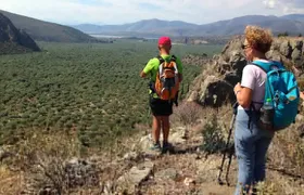 DELPHI Private Day Tour PLUS Hiking, BIking or Olive Tasting