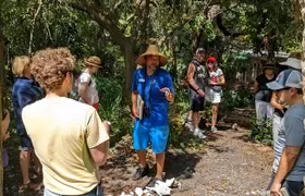 St. Petersburg Jungle Prada Site History Tour