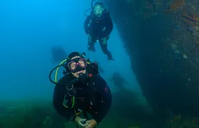 Scuba Dive The Beautiful Rottnest Island for Certified divers