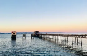 Swansea Tour App, Hidden Gems Game and Big Britain Quiz (1 Day Pass) UK