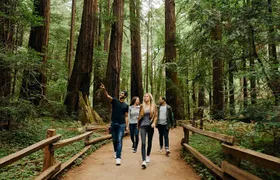 San Francisco, Muir Woods, Sausalito and optional Alcatraz tour