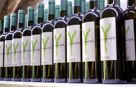 Majorca winery visit with wine and local food tasting