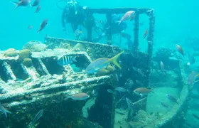 Discover Diving in Curacao