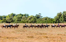 Rancho Grande two-hour horse ride with transfer