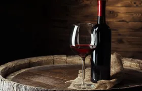 Wine Experience in farm vineyard & winery from Montecatini T.