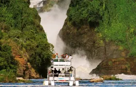 Nile River Boat Safari (Launch Cruise)