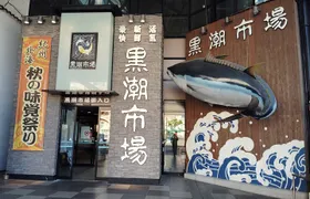 Wakayama: Explore Japan’s Seafood Culture at Kuroshio Market