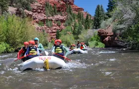 Telluride Morning Half Day Rafting Trip - San Miguel River