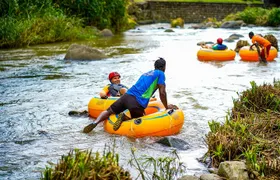 Half-Day Grenada River Tubing -Grand Etang & Annandale Falls