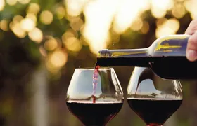 Vineyard tour and wine-tasting in Calabria