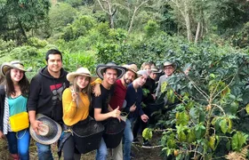Cocora Valley, Salento and Coffee Farm Day Tour 