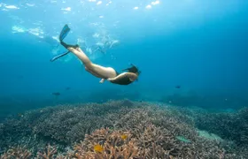 Nusa Lembongan with Manta Bay snorkelling all-inclusive tour