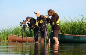 BIRDWATCH - Premium guided canoe tour at Cape Vente, Nemunas Delta Regional Park