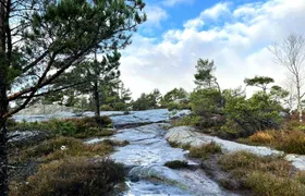 Private Lochner hike in Kristiansand