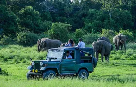 Udawalawe Safari DayTrip frm Bentota/Kalutara/Ahungalla/Hikkaduwa