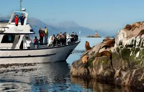 Beagle Channel Navigation with Minitrekking