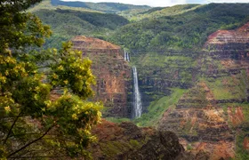Waimea Canyon and Koke'e Adventure Tour