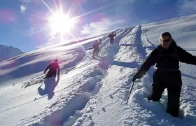 Scenic Snowshoe Adventure in South Lake Tahoe, CA