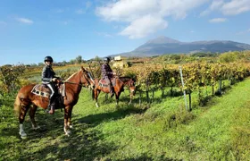 Pompeii Guided Tour & Horse Riding on Vesuvius with Lunch