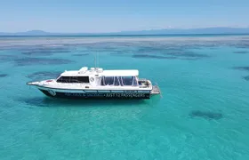 ABC Reef Safaris Dive & Snorkel Port Douglas 