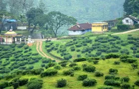 Explore The Rustic Life Of Thekkady With Lunch