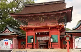 Shizuoka Area: Mt. Fuji Cultural Experience Private Tour
