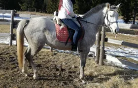 Private Horse Riding near Rhodope Mountains from Plovdiv